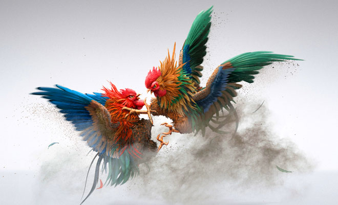 Đá Gà 88cbl - Giao dịch nạp rút linh hoạt, xử lý nhanh chóng